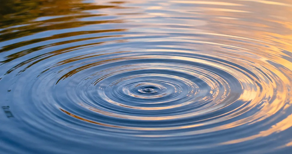 ripple effects Concentric ripples spreading across calm water reflecting warm golden light